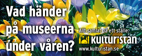 Kultur i stan bild