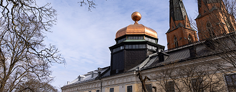 Gustavianum bild